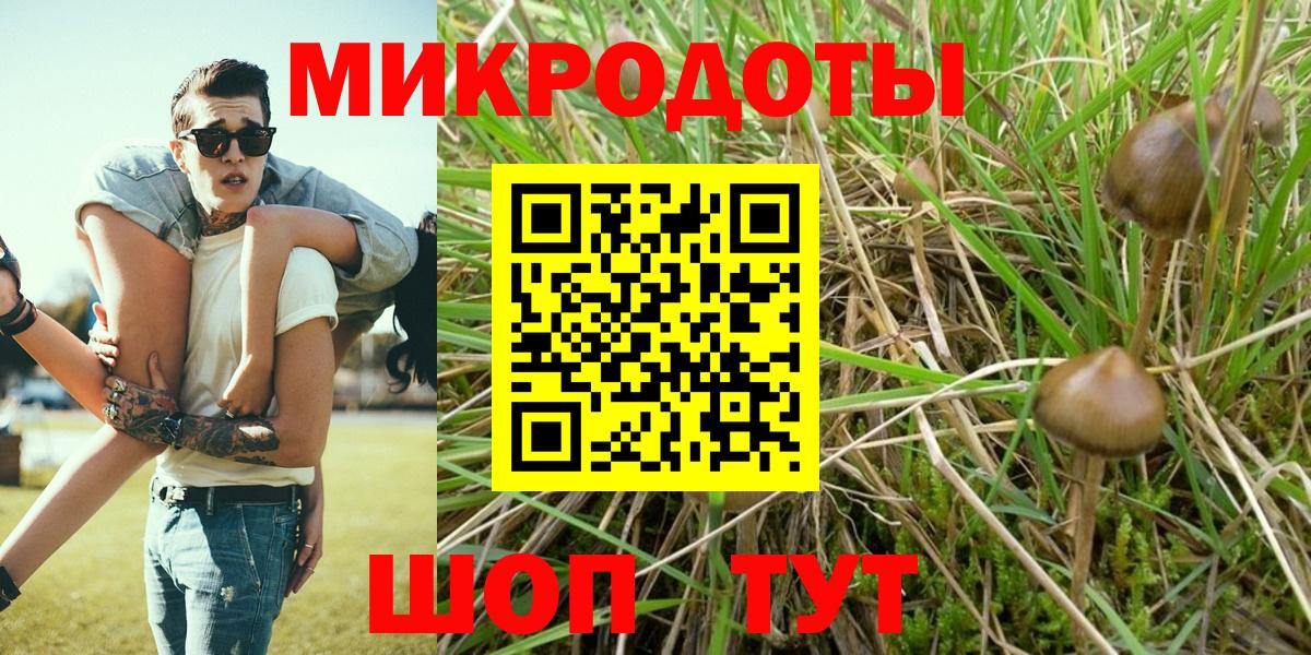 Галлюциногенные грибы мицелий Красногорск