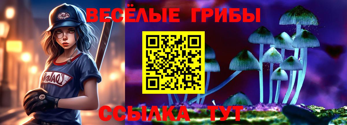 Псилоцибиновые грибы прущие грибы  Вход с VPN  Псилоцибиновые грибы Magic Shrooms  Красногорск 